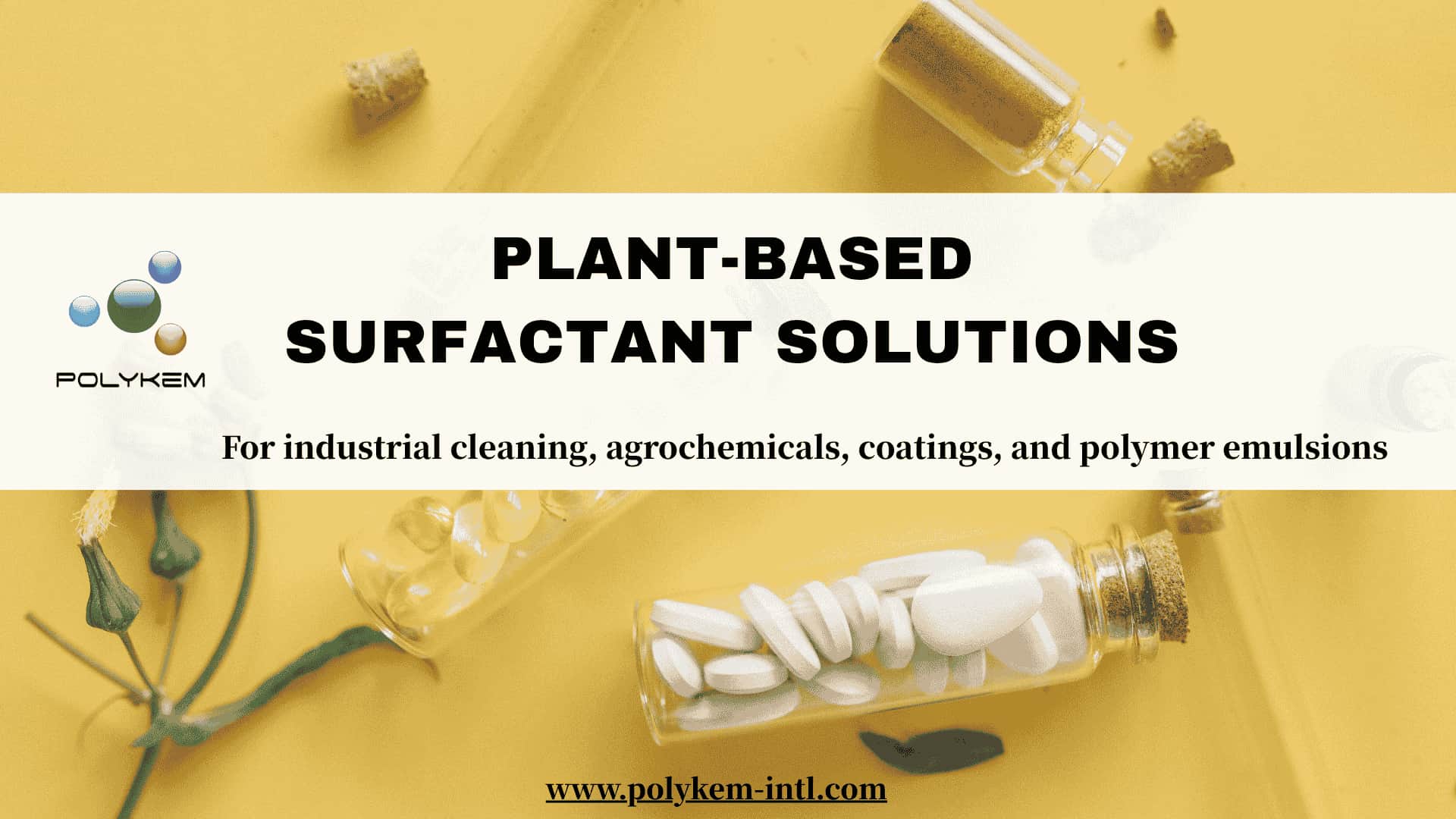 Plant-Based Industrial Formulation Emulsifying Solutions: Polykem High-Purity Surfactants